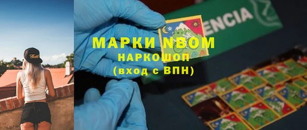 Альфа ПВП Аркадак