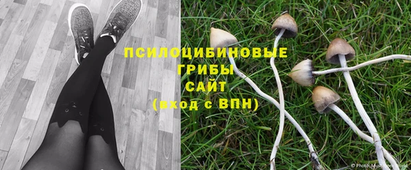 Альфа ПВП Аркадак