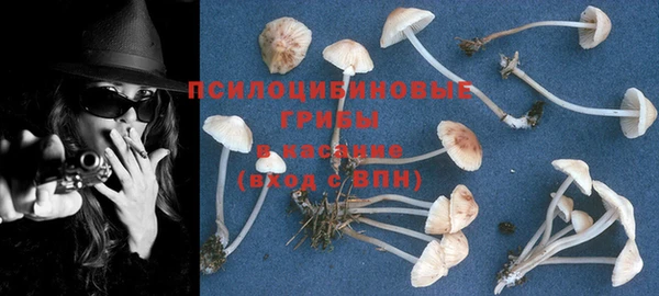 герыч Арсеньев