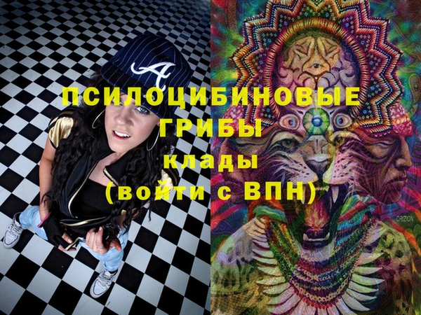 герыч Арсеньев