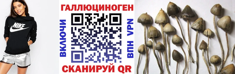 как найти наркотики  Льгов  OMG зеркало  Псилоцибиновые грибы прущие грибы 